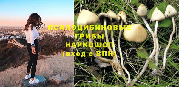 прущая мука Армянск
