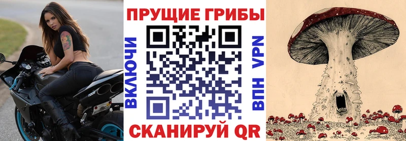 Псилоцибиновые грибы мицелий  цена   Болхов 